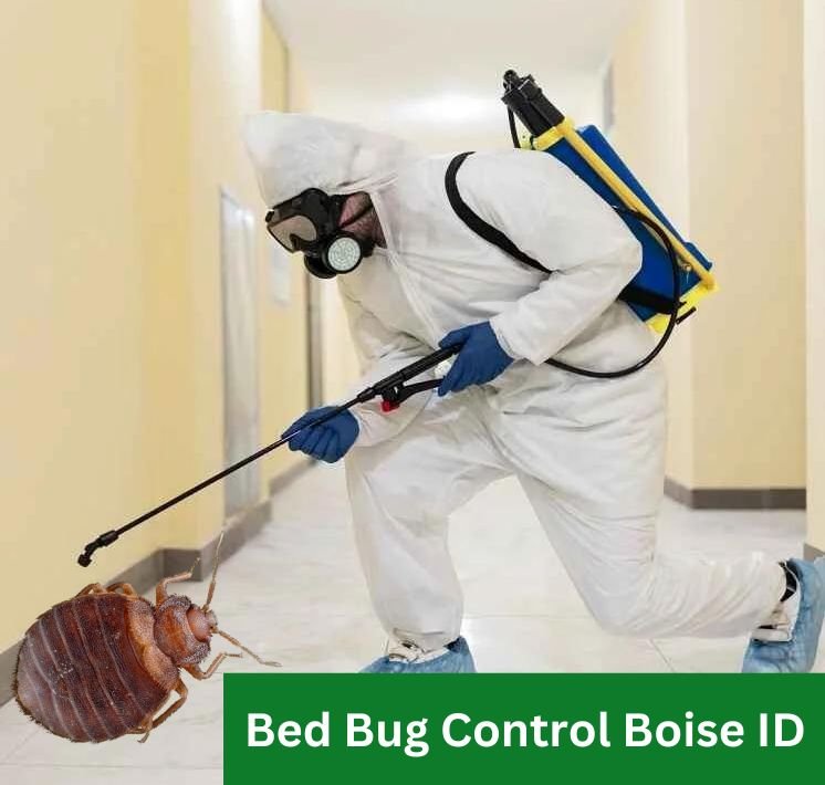 Bed Bug Control & Treatment in Boise, Idaho