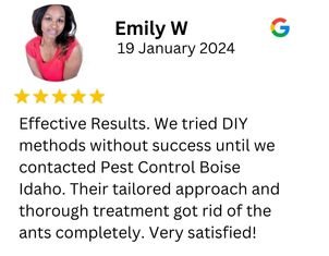Pest control reviews 4