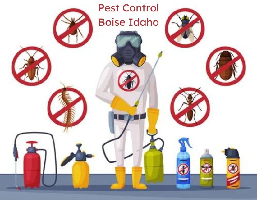 Why Choose Pest Control Boise Idaho For Ants Treatment